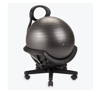 Gaiam Swivel Balance Ball Chair